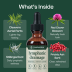 Lymphoria Drainage Drops